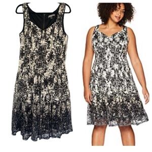 NWT Danny & Nicole Fit & Flare Black Lace Ombre Knee Length Dress Floral